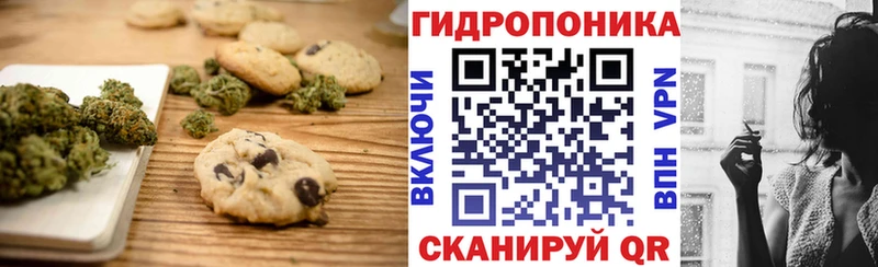 Canna-Cookies конопля  гидра   Удачный 