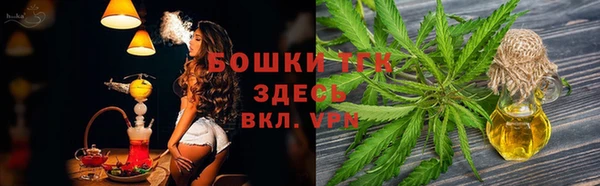 ПСИЛОЦИБИНОВЫЕ ГРИБЫ Коряжма