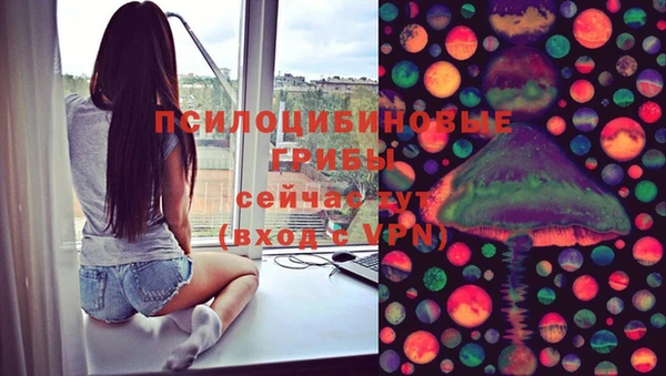 ПСИЛОЦИБИНОВЫЕ ГРИБЫ Коряжма