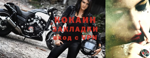 трава Корсаков