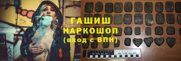трава Корсаков