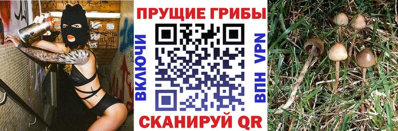 Галлюциногенные грибы мухоморы Удачный